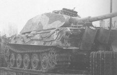 tiger2early0005.jpg