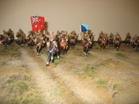 Lighthorse 2.JPG