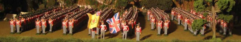 44th Regiment 003 Small01.jpg