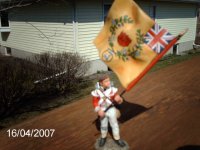 IMAG001- 71st Foot Regmt Colors 1.JPG