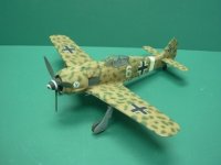 FW_190_Tropical__Version.JPG