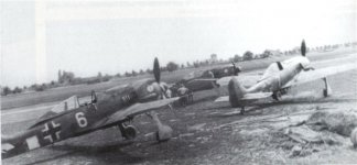 White 761.jpg
