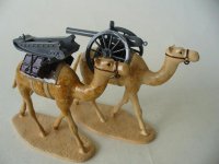 CamelCorp02.jpg