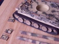 Tiger 1 (4).jpg