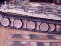 Tiger 1 (6).jpg