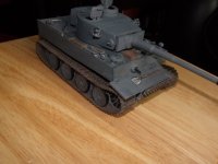 Tiger 1 (5).jpg