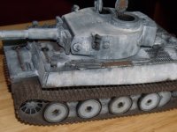 Tiger 1 (16).jpg