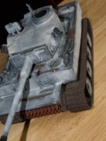 Tiger 1 (13).jpg