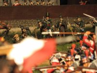 Waterloo Diorama02 046.jpg