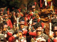 Waterloo Diorama02 038.jpg