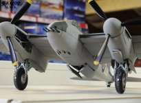 Mossie001[1].jpg