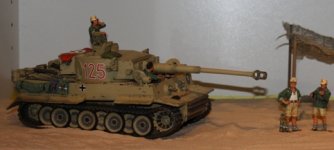 Tun Tiger.jpg