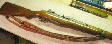 m1.jpg