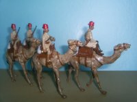 1324 Egyptian Camel Corps.JPG