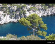 calanques_cassis_mer_turquo.jpg