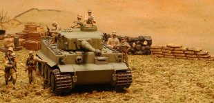 FrontAKTiger1w.jpg