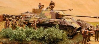 Panther1w.jpg