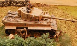 Tiger1w.jpg