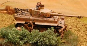 Tiger2w.jpg
