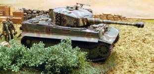 Tigerlate2w.jpg