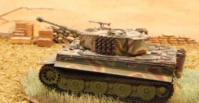 Tigerlate3w.jpg