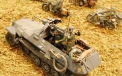 Tophalftrk1w.jpg