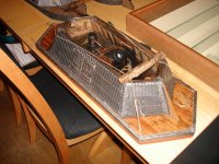 user1815_pic11992_1271182790.jpg