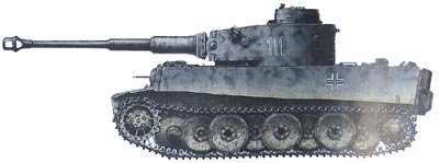 tiger111.jpg