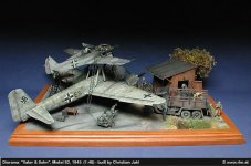 DSCN2435.790x525.jpg