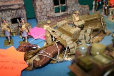 tommy atkins2.jpg