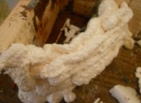 DSCN0651.JPG