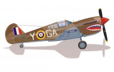 p40raf_africa.jpg