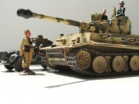 c Otto+Tiger+Beetle.JPG