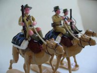 ImperialCamel02.jpg