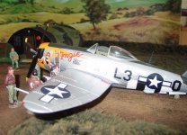 P47 (30) 3.JPG