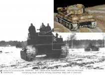 snow tiger3.jpg