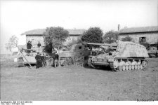 Tiger and Nashorn.jpg