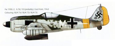 0-Fw-190G2-IISG10-white-(M+-)-Eastern-Front-1943-0A.jpg