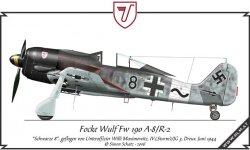 fw190_maximowitz.jpg