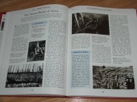 WWI-Hist-03-F.jpg