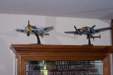 Warbirds 001.jpg