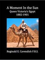 MomentInTheSunSm.jpg