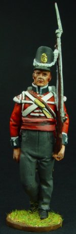 NP 113  1ST GUARD INFANTRY GRENADIER SERGEANT.JPG