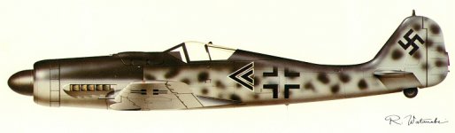 rw_fw190d.jpg