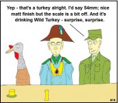 16 wild turkey.jpg