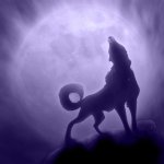 barking_at_the_moon_by_mirri-d39jz1b.jpg