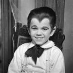 eddie munster.jpg