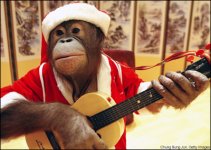 indie-christmas-monkey-400w.jpg