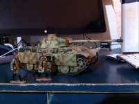 Panther 312.jpg