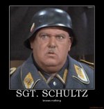 sgt-schultz-sgt-shultz-knowing-nothing-demotivational-poster-1262241779.jpg